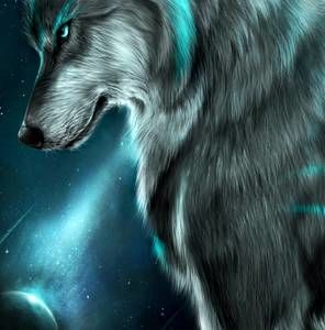 Meet your Posher, Frederick